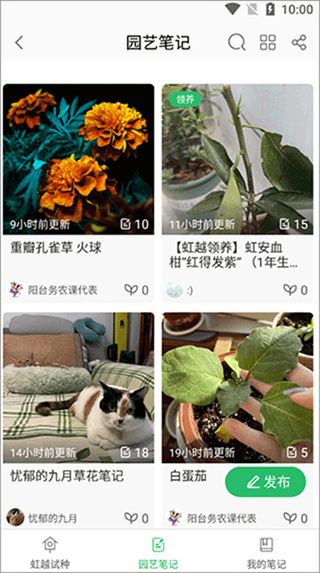 虹越app最新版