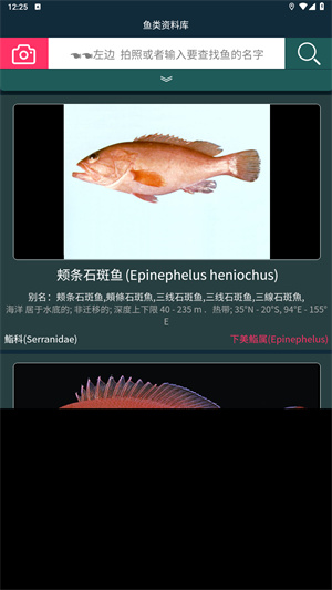 潮汐表精灵官方版