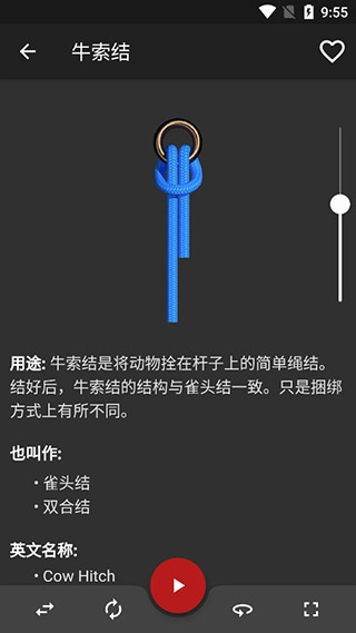 Knots3D