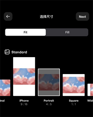 Instasize软件