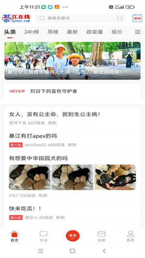 綦江在线