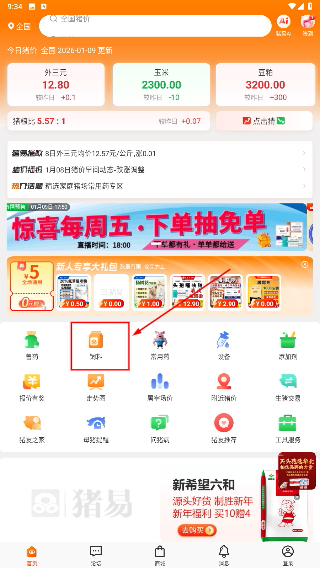 猪易通