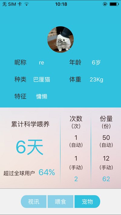派旺宠物