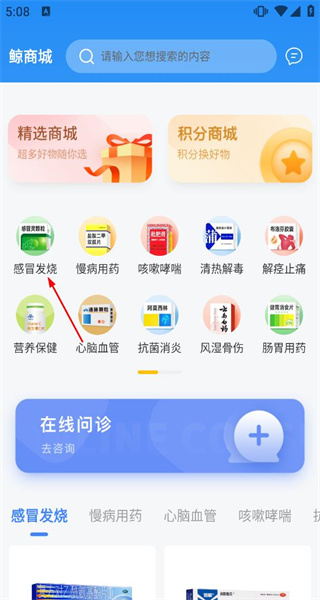鲸医生
