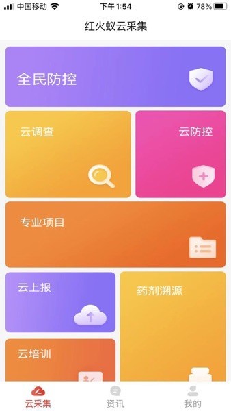 红火蚁