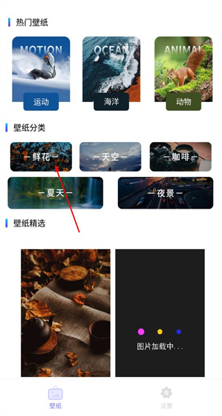 克拉壁纸