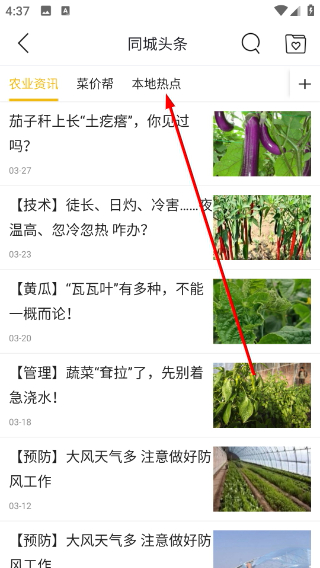 农邦主