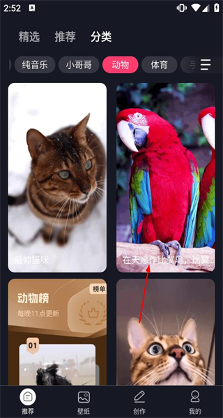 来电秀