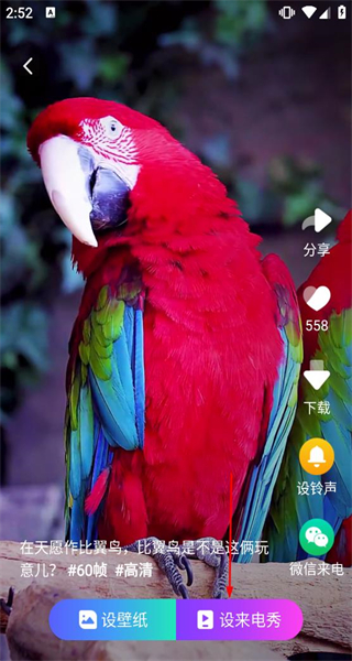 来电秀