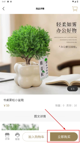 紫龙问津