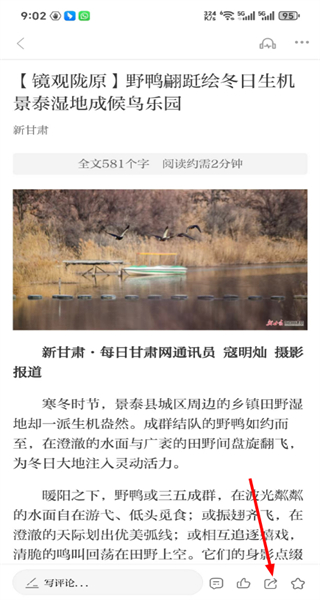 看陇西
