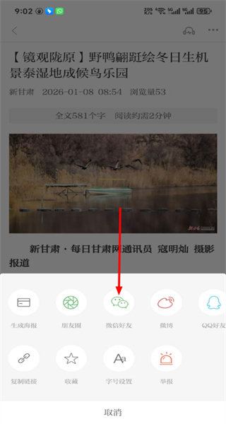 看陇西