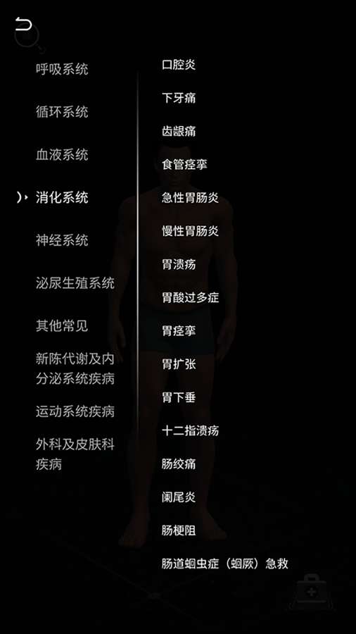 经脉宝