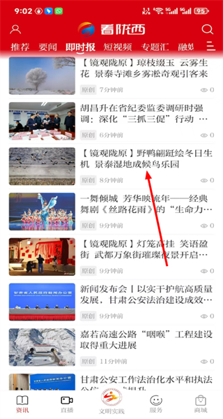 看陇西
