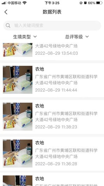 红火蚁
