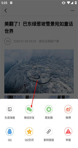 荆楚网