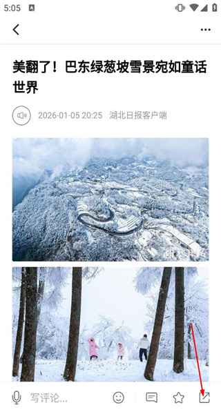 荆楚网
