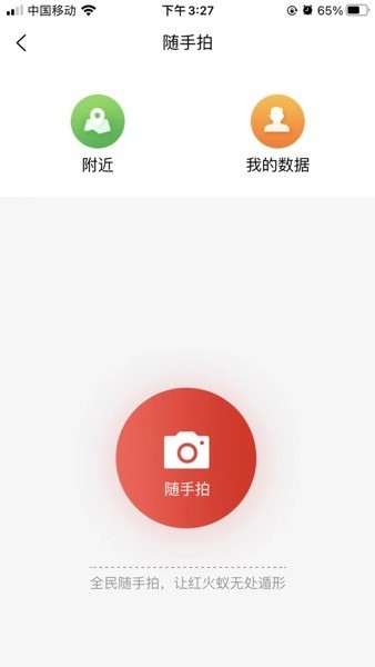 红火蚁