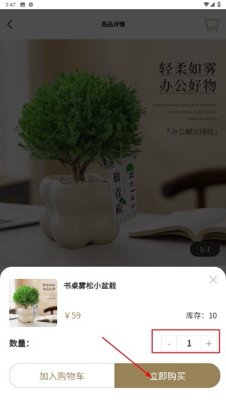 紫龙问津