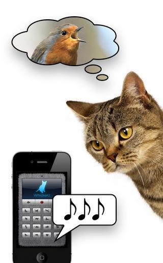 human to cat