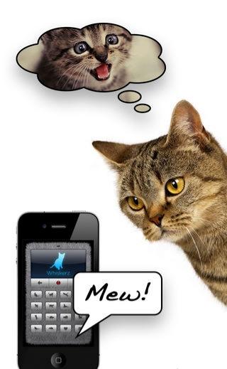 human to cat