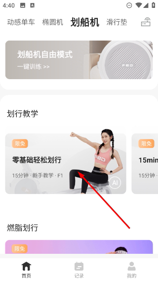 FED运动