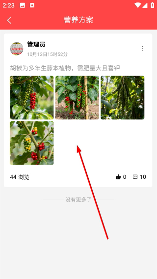拼趸趸