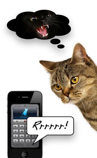 human to cat