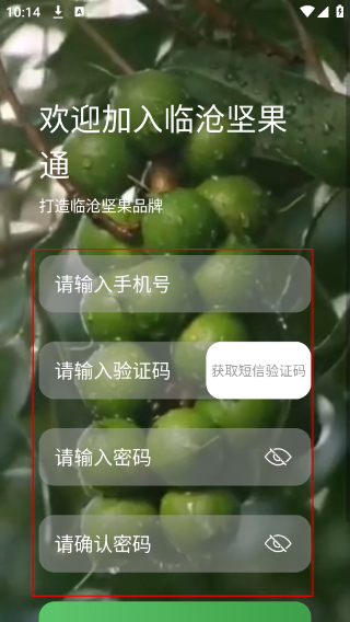 坚果通