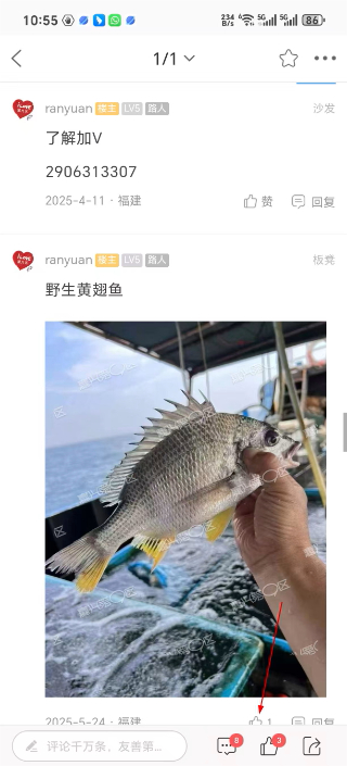 嘉兴第九区