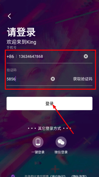 King语音