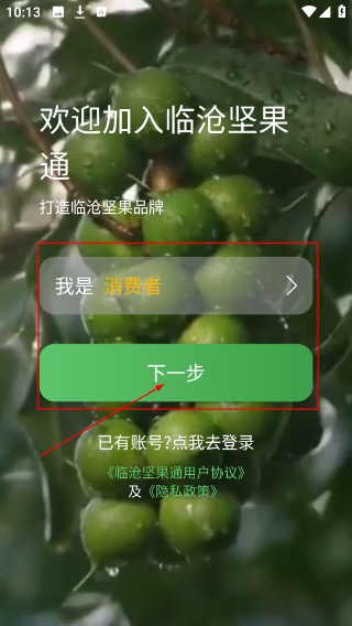 坚果通