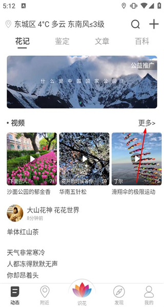 花伴侣