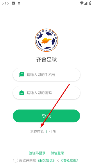 齐鲁足球
