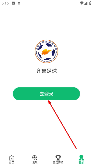齐鲁足球