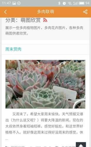 多肉联萌手机客户端