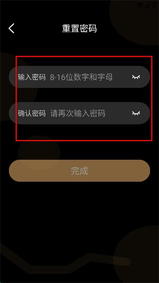 金可儿ibed