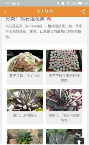 多肉联萌手机客户端