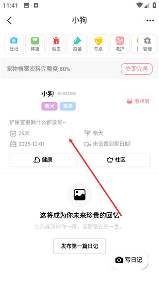 宠物王国