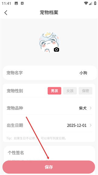 宠物王国