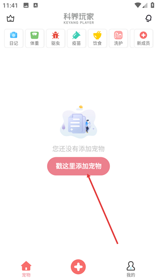 宠物王国