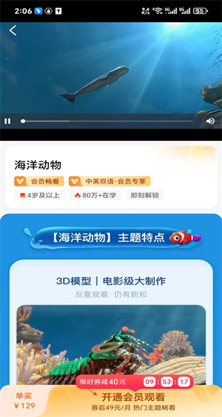 斑马
