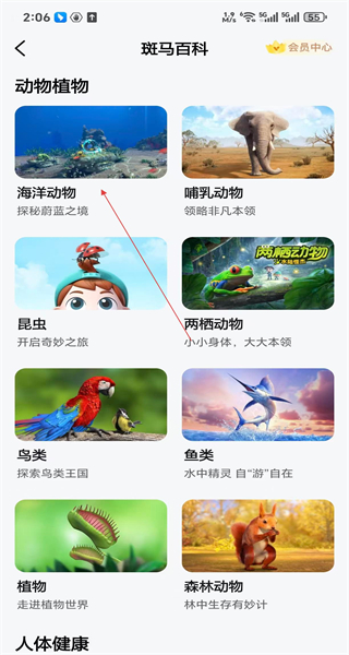 斑马