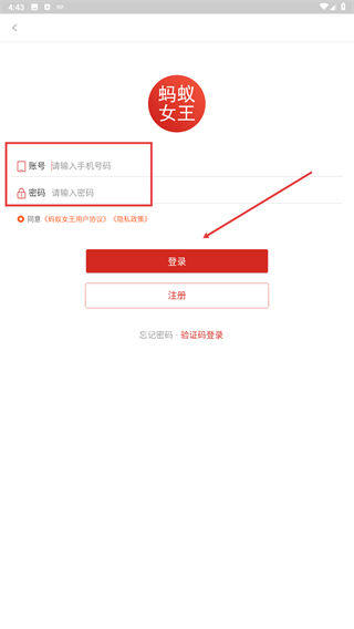 蚂蚁女王
