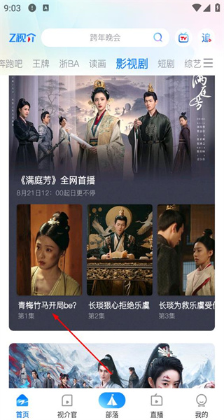 Z视介