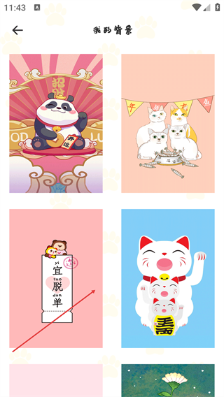 猫咪记账