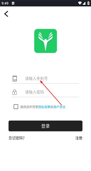 云艺术人手机版