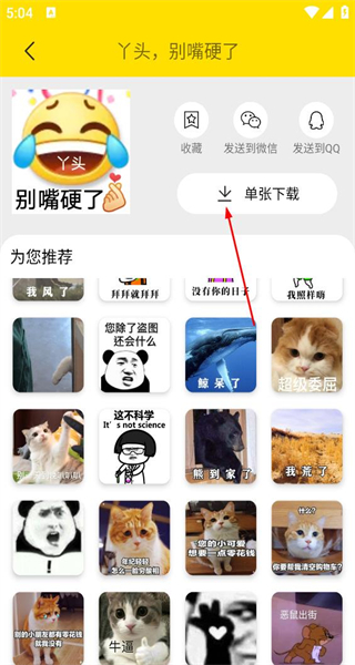 悦动表情包手机版