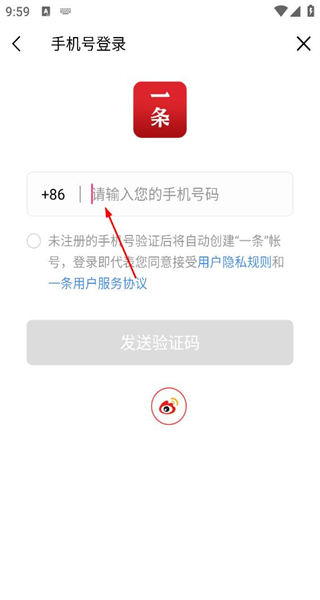 一条