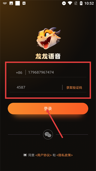 龙龙语音